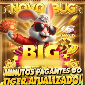 85x Plataforma